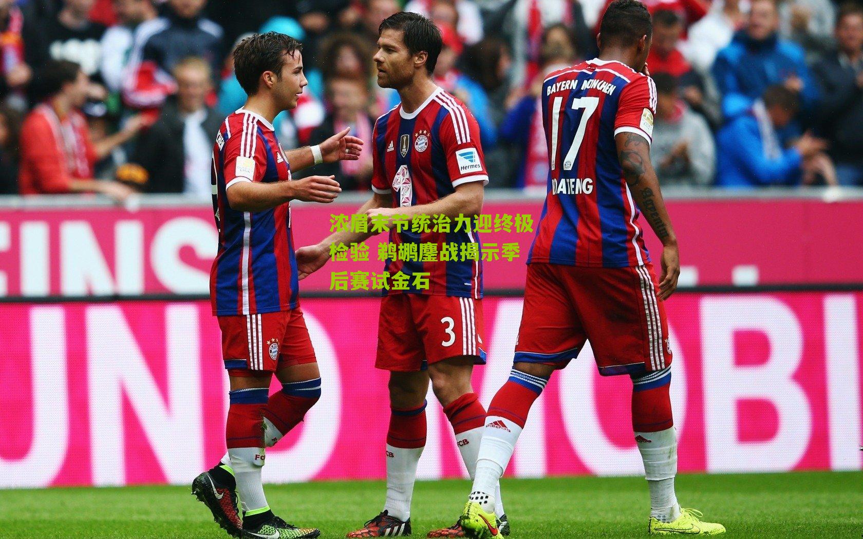 浓眉末节统治力迎终极检验 鹈鹕鏖战揭示季后赛试金石