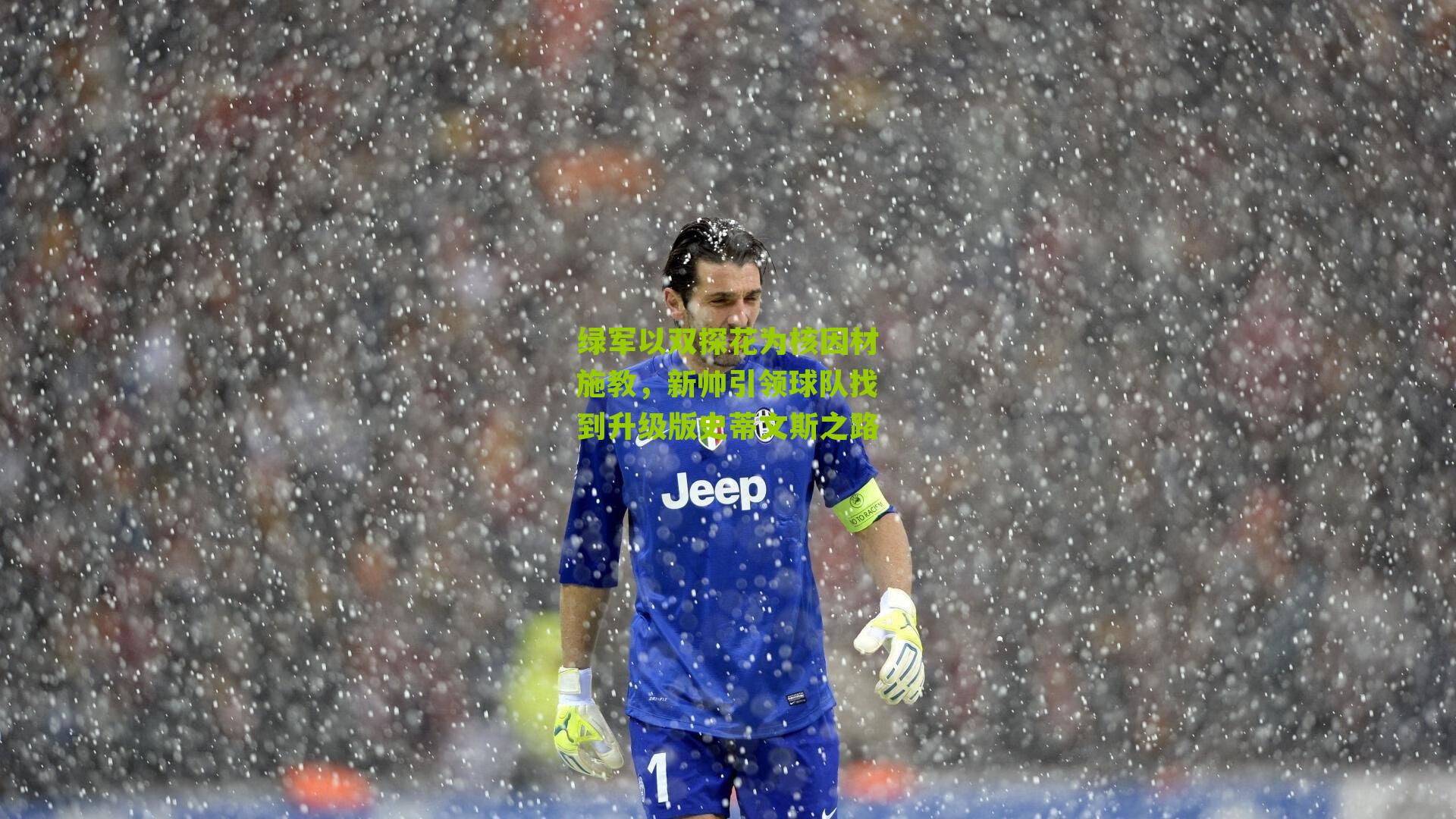 绿军以双探花为核因材施教,新帅引领球队找到升级版史蒂文斯之路