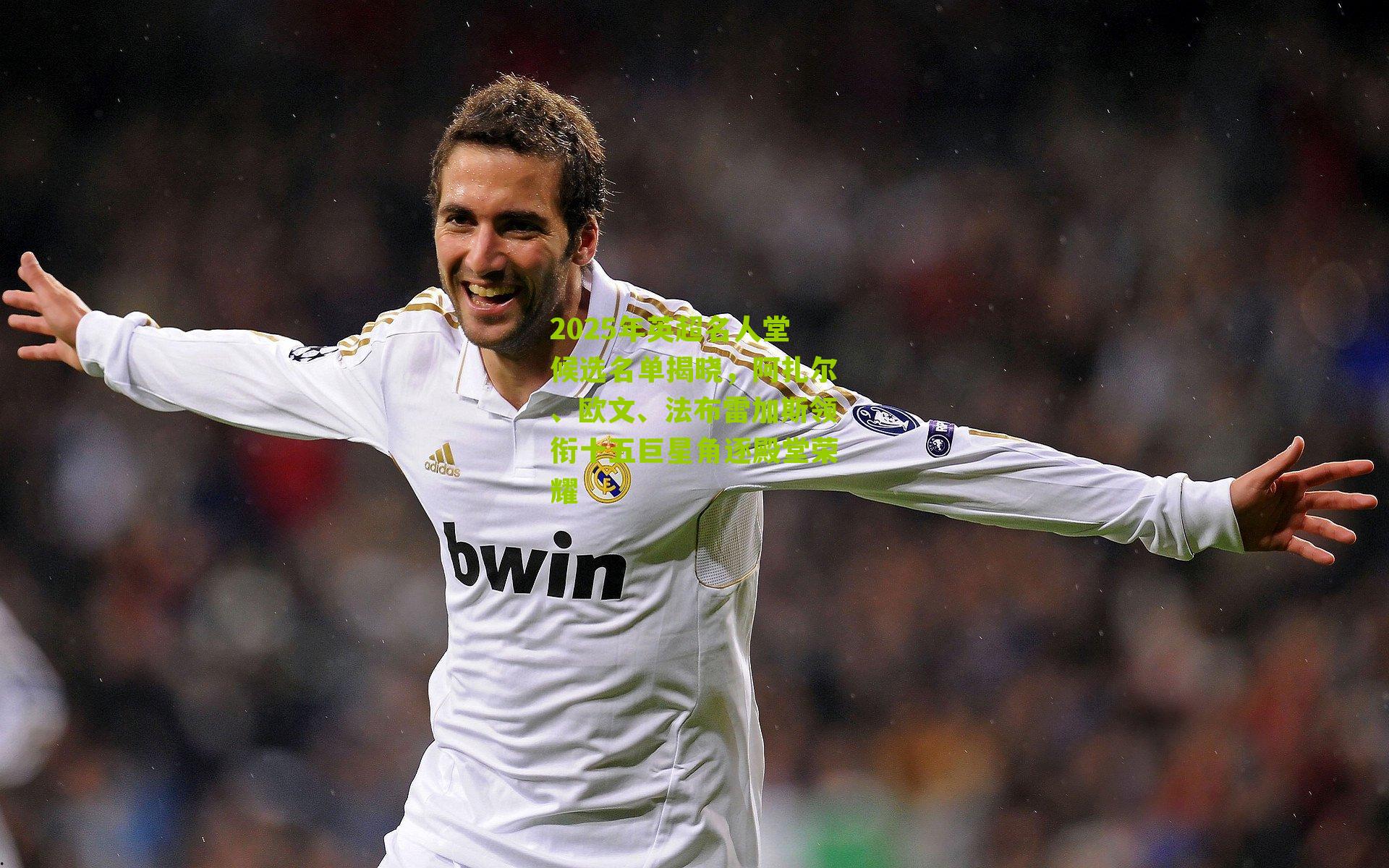 2025年英超名人堂候选名单揭晓,阿扎尔、欧文、法布雷加斯领衔十五巨星角逐殿堂荣耀